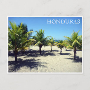 tela palms honduras briefkaart