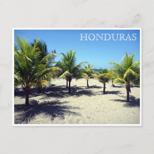 tela palms honduras briefkaart (Voorkant)