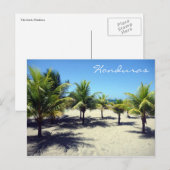 telappalmen briefkaart (Voorkant / Achterkant)