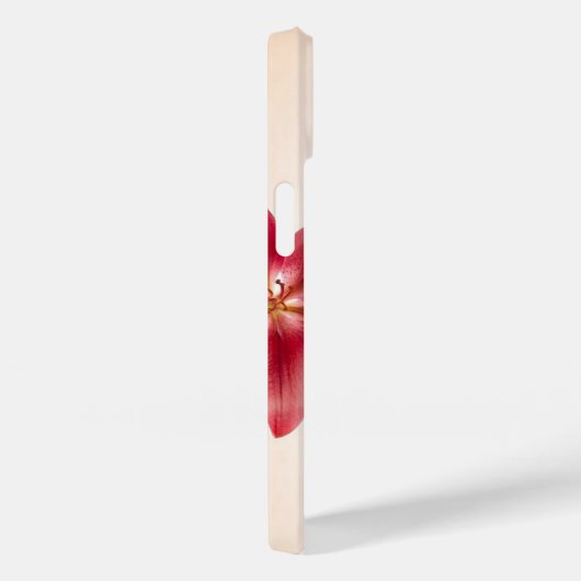 telefoon Case-Mate iPhone case (Achterkant / Rechts)