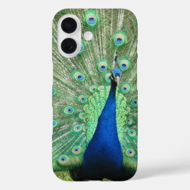 Telefoondraagtas - Proud Peacock iPhone 16 Hoesje
