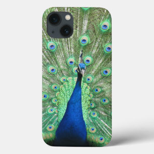 Telefoondraagtas - Proud Peacock Case-Mate iPhone Case