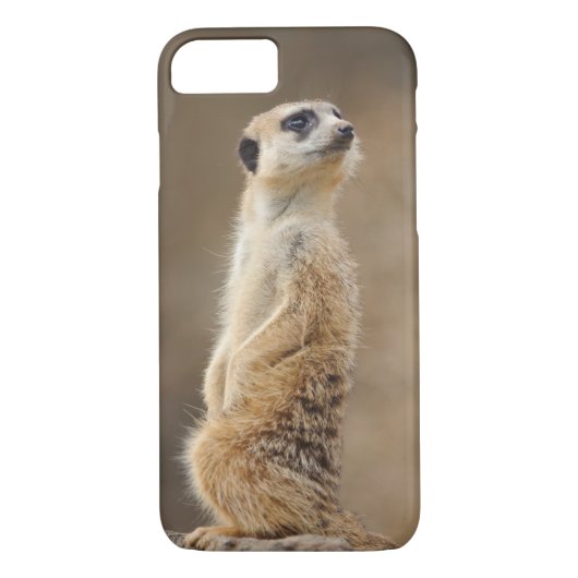 Telefoondraagtas van Meerkat Case-Mate iPhone Case (Achterkant)