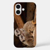 Telefoondraagtas van Meerkat Case-Mate iPhone Case (Achterkant)