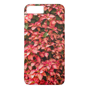 Telefoongevallen Red Poinsettia Case-Mate iPhone Case
