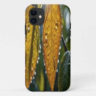  telefoonhoes – Creëer uw eigen ontwerp! Case-Mate iPhone Case