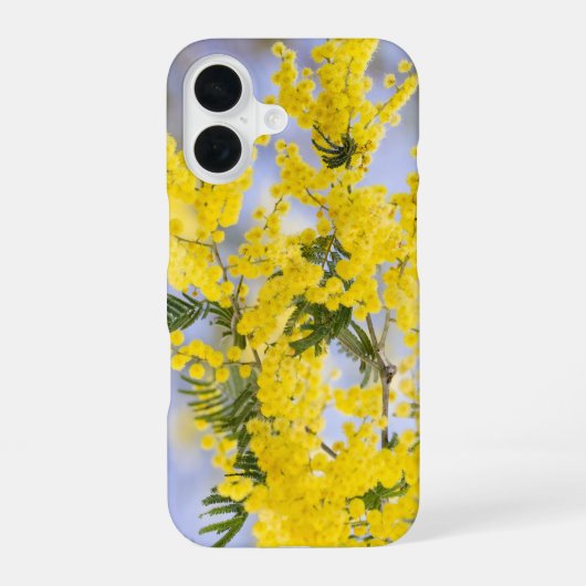 Telefoonhoes iPhone 16 Hoesje (Achterkant)