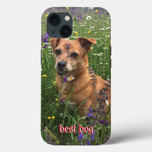Telefoonhoesje fotograaf Case-Mate iPhone case (Achterkant)