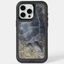 Telefoonnummer