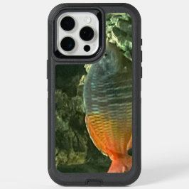 Telefoonnummer