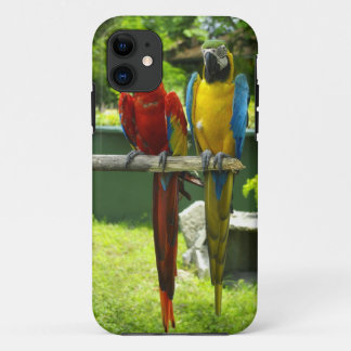 Telefoonnummer Macaw iPhone 11 Hoesje