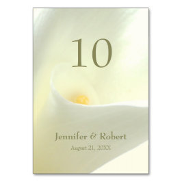 Telefoonnummer van Lily Kaart