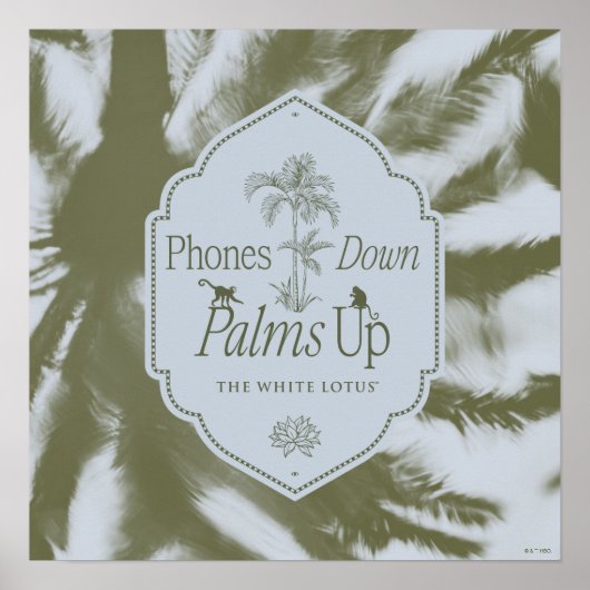 Telefoons omlaag, handpalmen omhoog - De witte lot Poster (Voorkant)