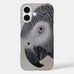 Telefoontas van Afrikaanse grijze fas iPhone 16 Hoesje