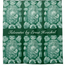 Teleostei schelpen en vissen van Ernst Haeckel Douchegordijn