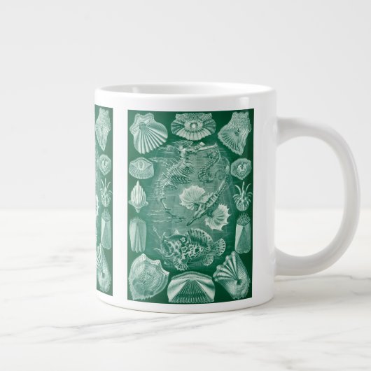 Teleostei schelpen en vissen van Ernst Haeckel Grote Koffiekop (Rechts)