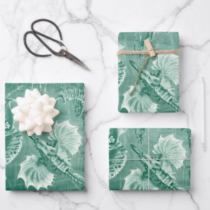 Teleostei schelpen en vissen van Ernst Haeckel Inpakpapier Vel