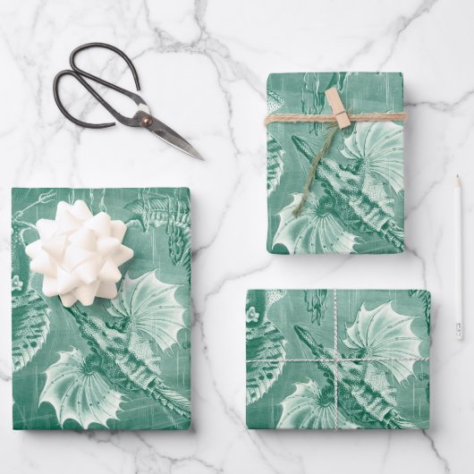  Teleostei schelpen en vissen van Ernst Haeckel Inpakpapier Vel (Voorkant)