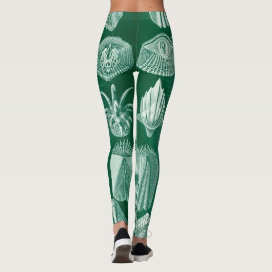 Teleostei schelpen en vissen van Ernst Haeckel Leggings (Achterkant)