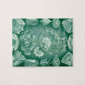  Teleostei schelpen en vissen van Ernst Haeckel Legpuzzel (Horizontaal)