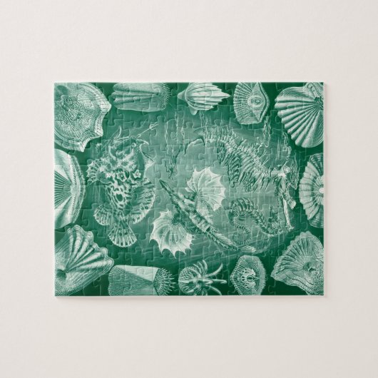 Teleostei schelpen en vissen van Ernst Haeckel Legpuzzel (Horizontaal)