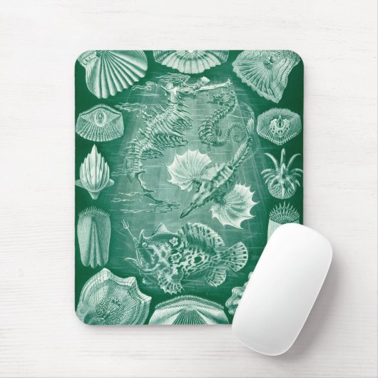  Teleostei schelpen en vissen van Ernst Haeckel Muismat (Met muis)