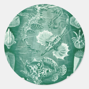  Teleostei schelpen en vissen van Ernst Haeckel Ronde Sticker