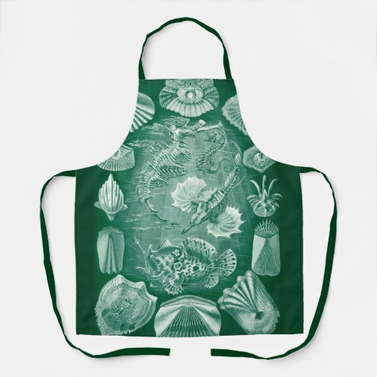  Teleostei schelpen en vissen van Ernst Haeckel Schort (Voorkant)