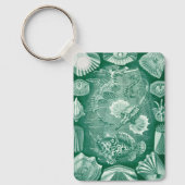  Teleostei schelpen en vissen van Ernst Haeckel Sleutelhanger (Voorkant)