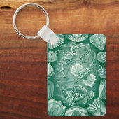  Teleostei schelpen en vissen van Ernst Haeckel Sleutelhanger (Voorkant)