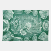  Teleostei schelpen en vissen van Ernst Haeckel Theedoek (Horizontaal)