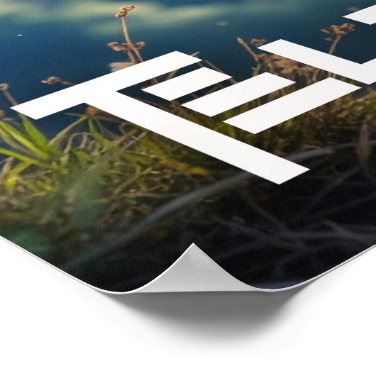 TELEPHANTASTIC - POSTER (Hoek)