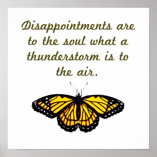 teleurstellingen zijn voor de burgers poster (Voorkant)