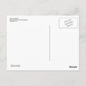 Telluride Aspens... Briefkaart (Achterkant)