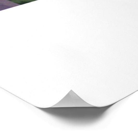 Telluride - Colorado - Schilderachtig wandeling Poster (Hoek)