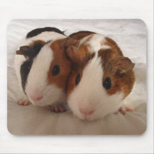 Telmha & louise muismat
