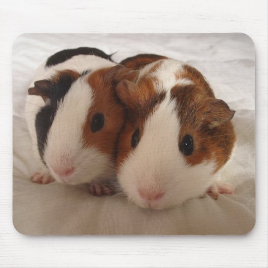 Telmha & louise muismat (Voorkant)