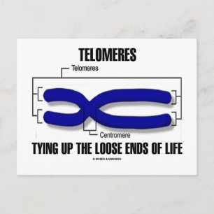 Telomeren die de losse eindpunten van het leven va briefkaart