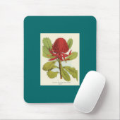 Telopea Speciosissimae Waratah Muismat (Met muis)