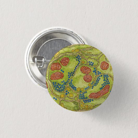 TEM synapse - Pin & Button (Voorkant /achterkant)