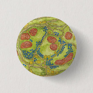 TEM synapse - Pin & Button