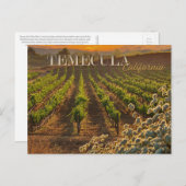 Temecula Wijn Land Briefkaart Wijngaard (Voorkant / Achterkant)