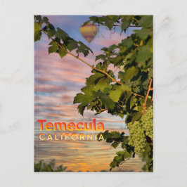 Temecula Wijn Land Briefkaart Wijnstok