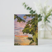 Temecula Wijn Land Briefkaart Wijnstok (Staand voorkant)