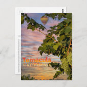 Temecula Wijn Land Briefkaart Wijnstok (Voorkant / Achterkant)