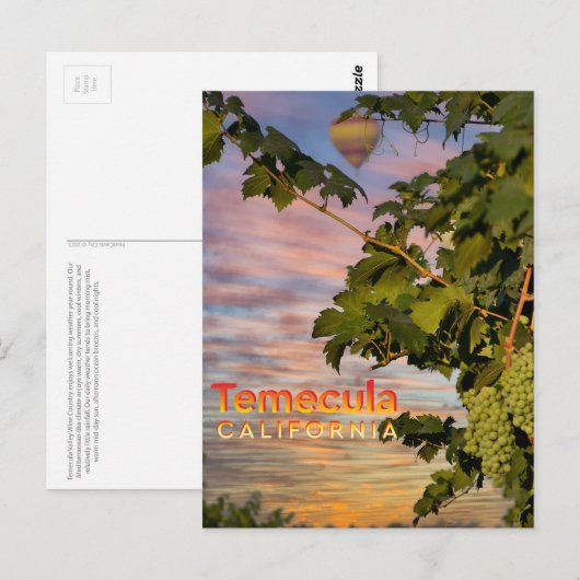 Temecula Wijn Land Briefkaart Wijnstok (Voorkant / Achterkant)