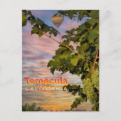 Temecula Wijn Land Briefkaart Wijnstok (Voorkant)