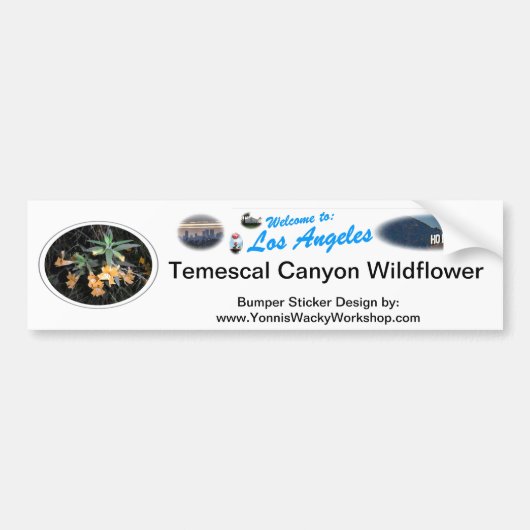Temescal Wilde Vloer Bumpersticker (Voorkant)