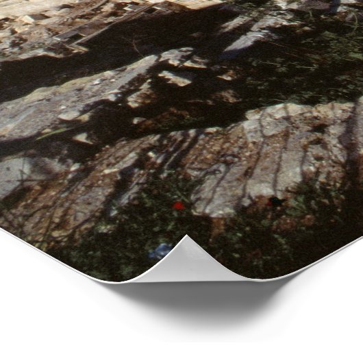 Tempel Poster (Hoek)