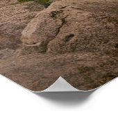 Tempel van de Zon in Baalbek Poster (Hoek)